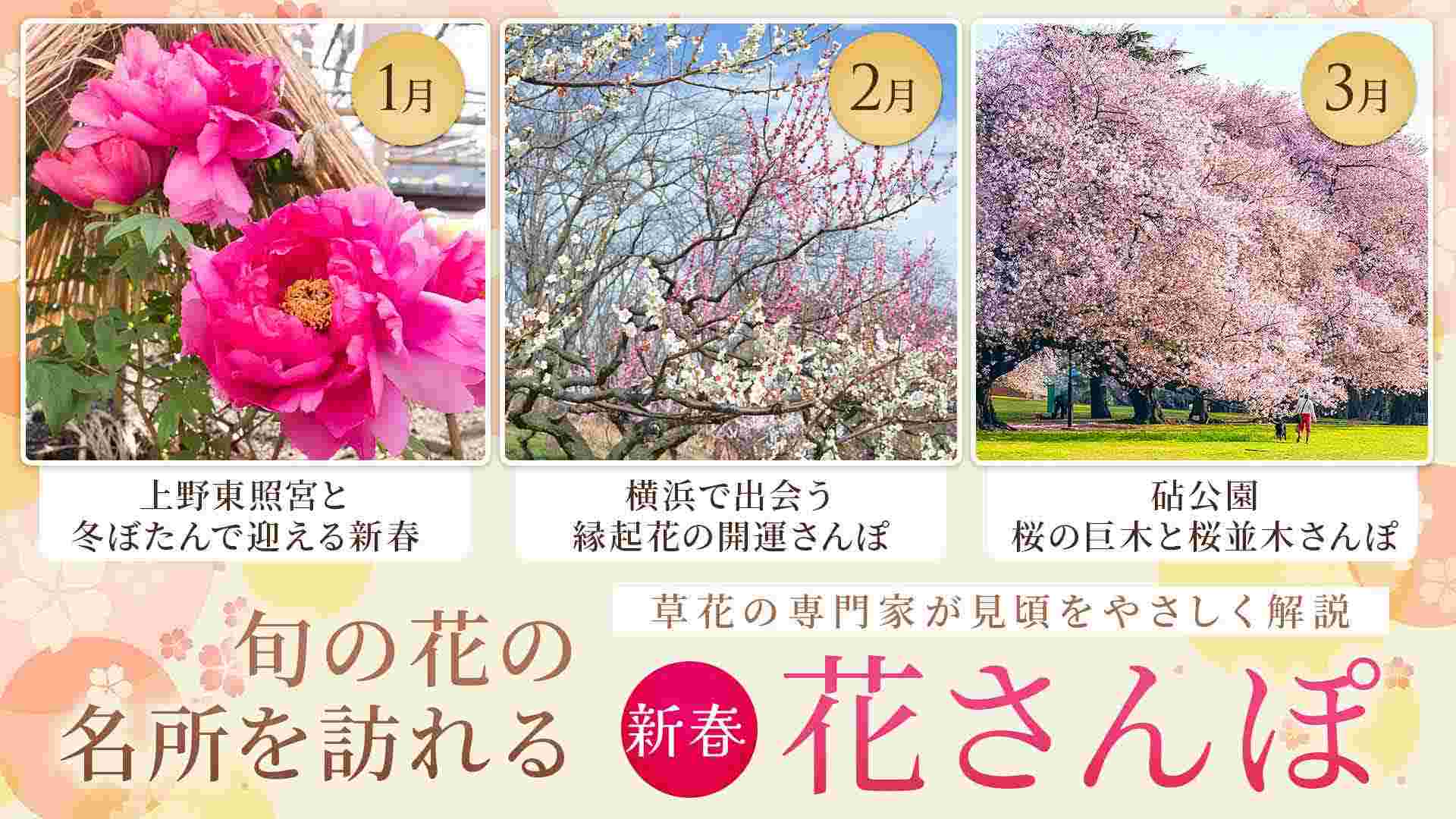 花さんぽ（上野、横浜、砧公園）
